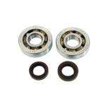Kit  rulmenti +semeringuri Piaggio-Gilera 50 cc-0