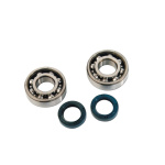 Kit  rulmenti +semeringuri Pgt Ludix 50cc-0