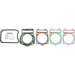 Set garnituri Piaggio Beverly 500cc 02-03-0
