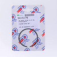 Segmenti Piaggio Vespa 55X1.5 X 2.2mm 2