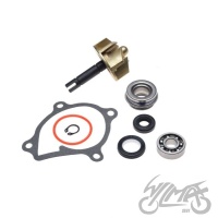 Kit Pompă de apă Yamaha Raptor YFM 660 / Grizzly YFM 660 / Rhino YXR 660 2 Pompă de apă Yamaha Raptor YFM 660 / Grizzly YFM 660 / Rhino YXR 660
