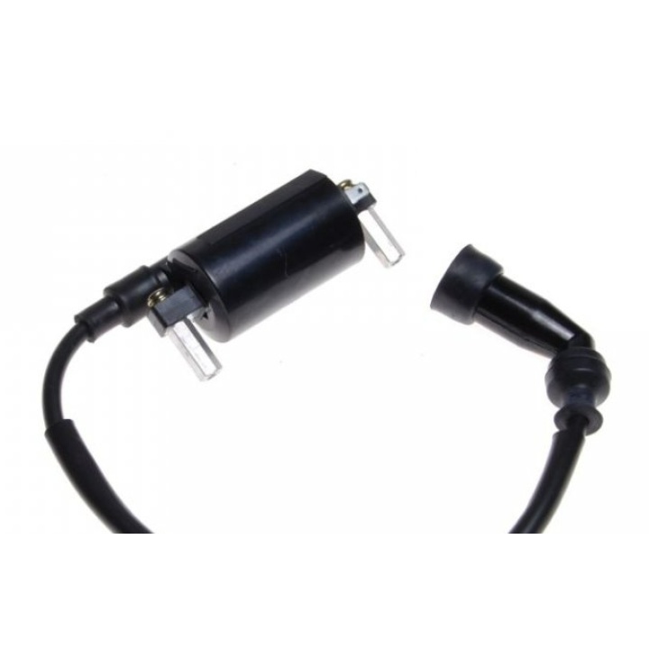 Bobina Inductie Suzuki GN125 2