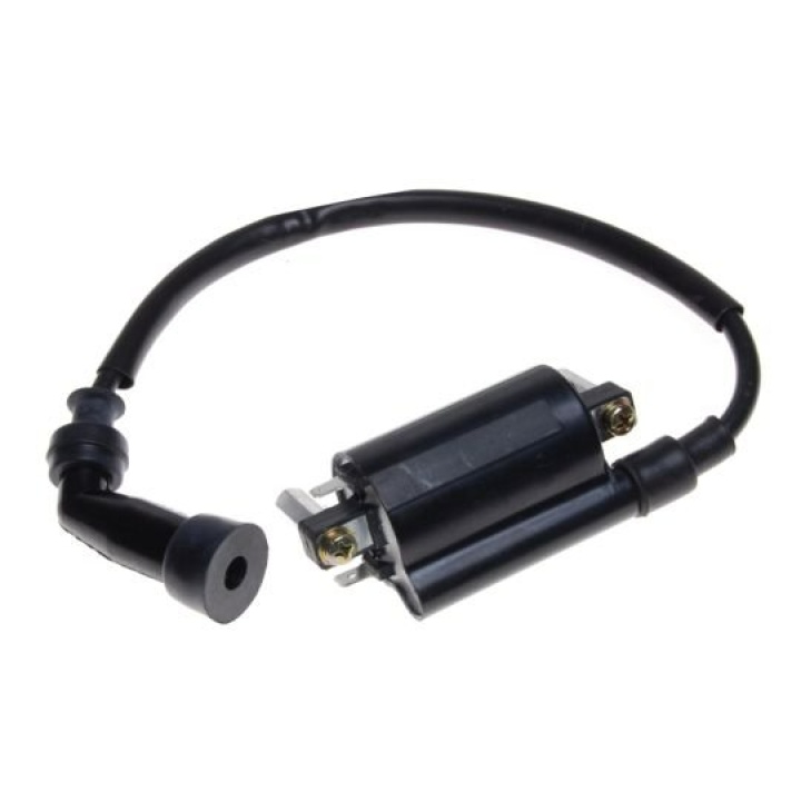 Bobina Inductie Suzuki GN125