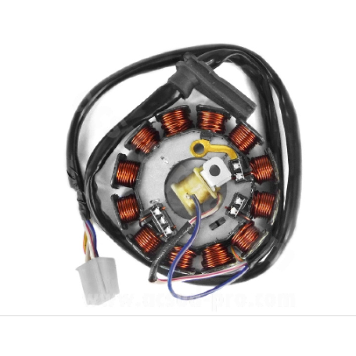 Stator magnetou Yamaha TZR 50 DT50 Minarelli Am 6 Stator magnetou Yamaha TZR 50 DT50 Minarelli Am 6