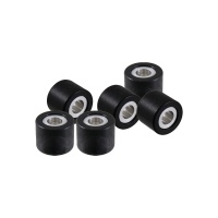 Role Variator Piaggio Vespa 5,5 gr 19×15,5mm 2 Role Variator Piaggio Vespa 5,5 gr 19×15,5mm 2