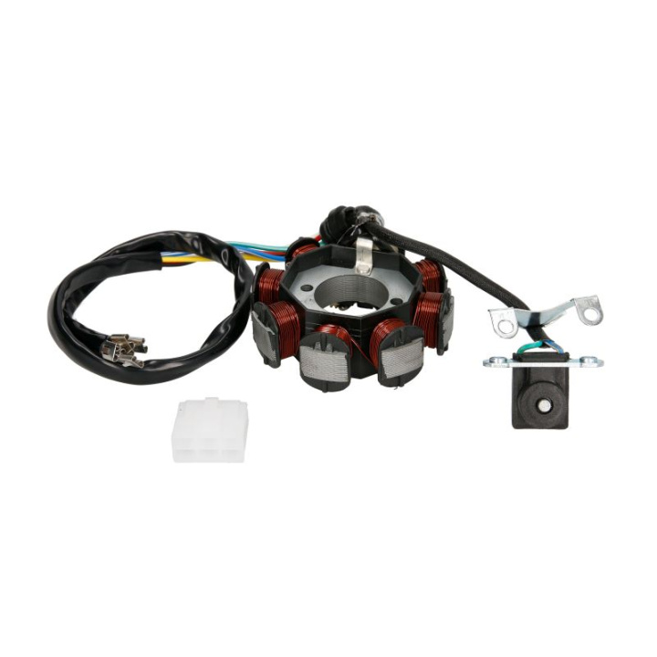 Stator Magnetou ATV Bashan 8 Bobine 200 250cc