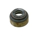 Simering supapa Polaris Sportsman Ranger Scrambler Magnum 500 OEM 3084858