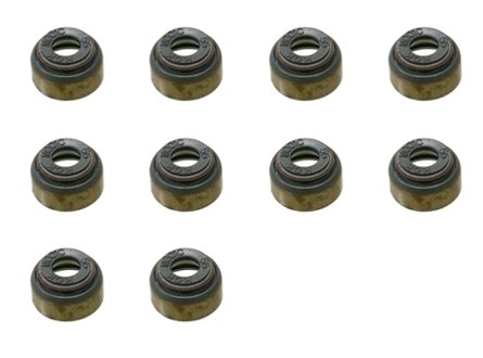 Simering supapa Polaris Sportsman Ranger Scrambler Magnum 500 OEM 3084858