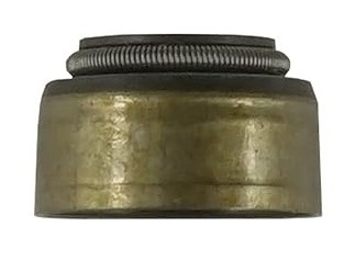 Simering supape Polaris Sportsman Ranger Scrambler Magnum 500 OEM 3084858