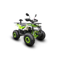 ATV Copii Barton T-REX 125 8