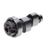arbore cu came yamaha ybr125