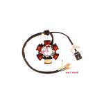 stator-6-bobine-atv-110cc-125cc-standard